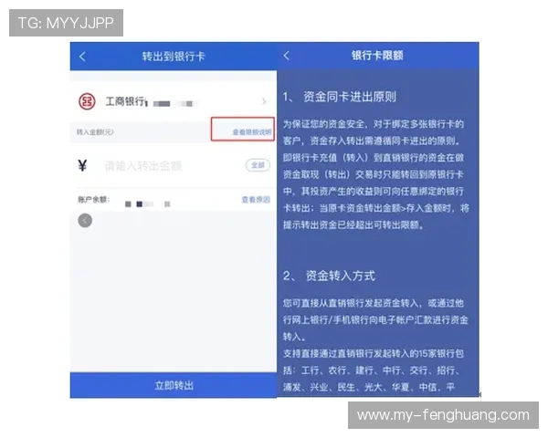 全面解析TVT体育平台的特色功能与用户体验提升指南